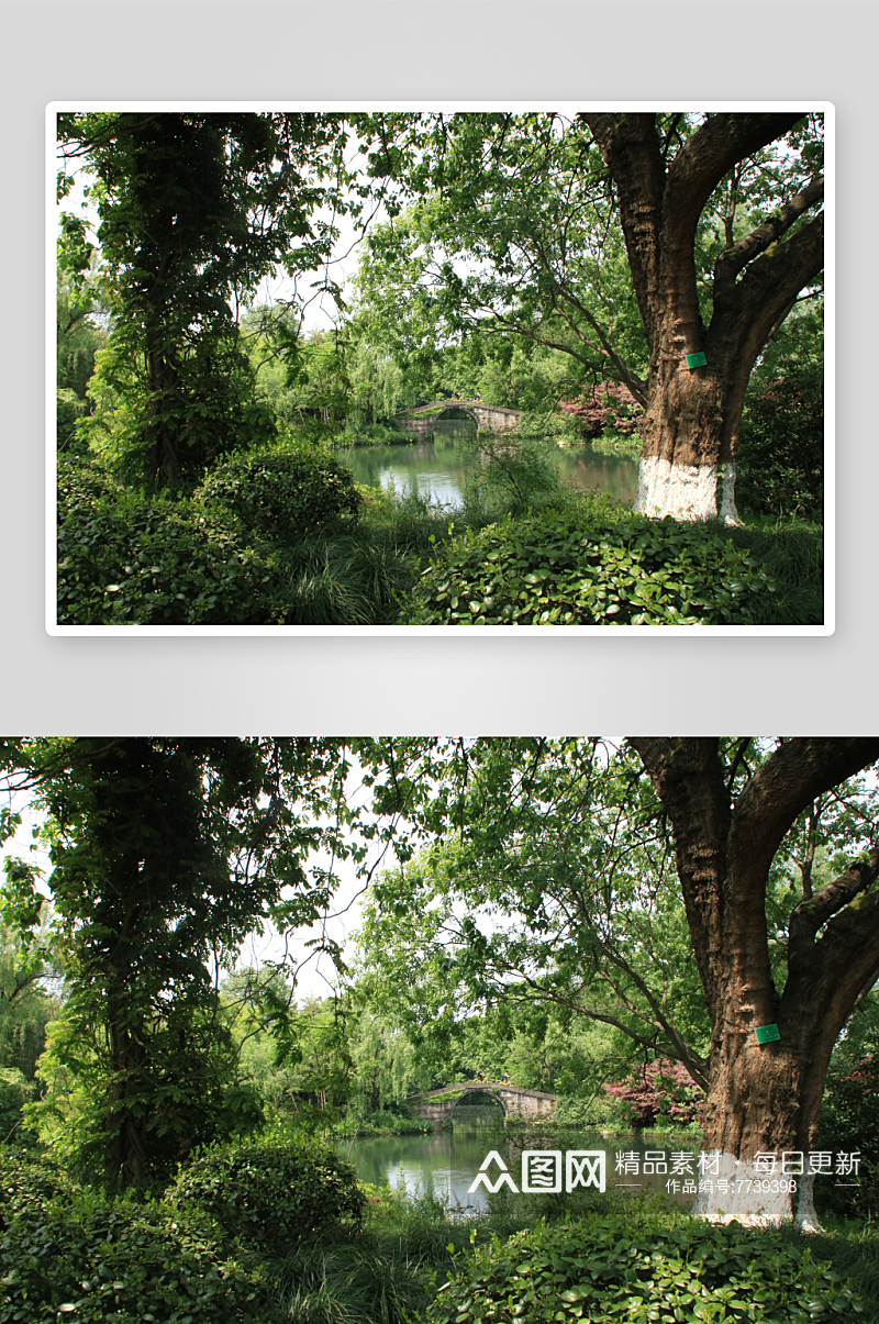 美丽杭州西湖风景摄影图片素材