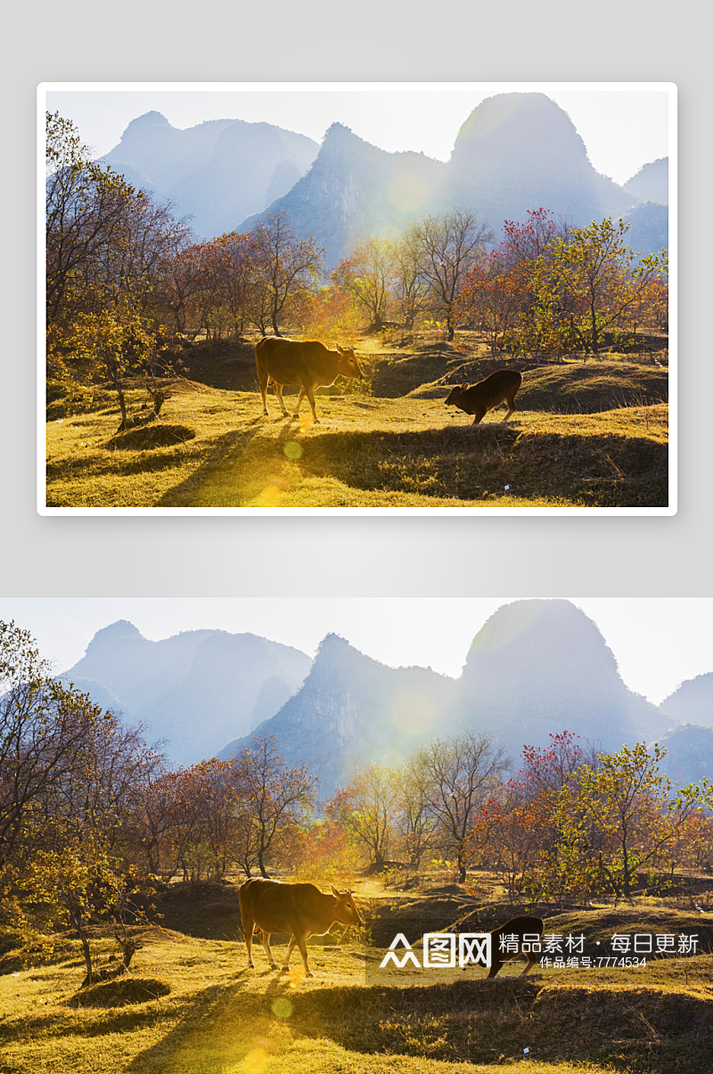 美丽桂林山水风景摄影图素材