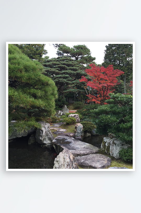 花园庭院家装家居效果图