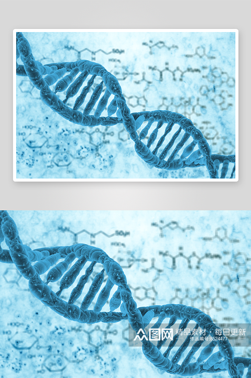 简约生物科技基因链摄影图素材