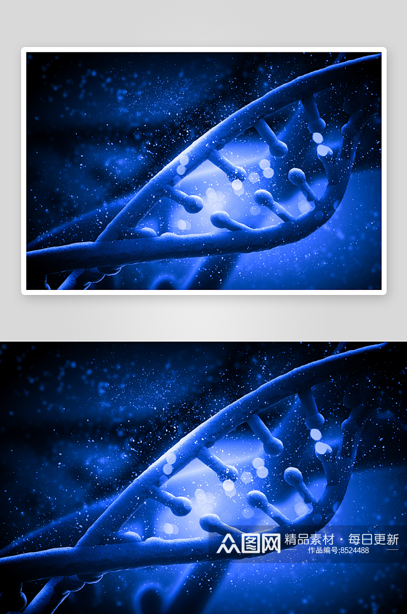 简约生物科技基因链摄影图素材