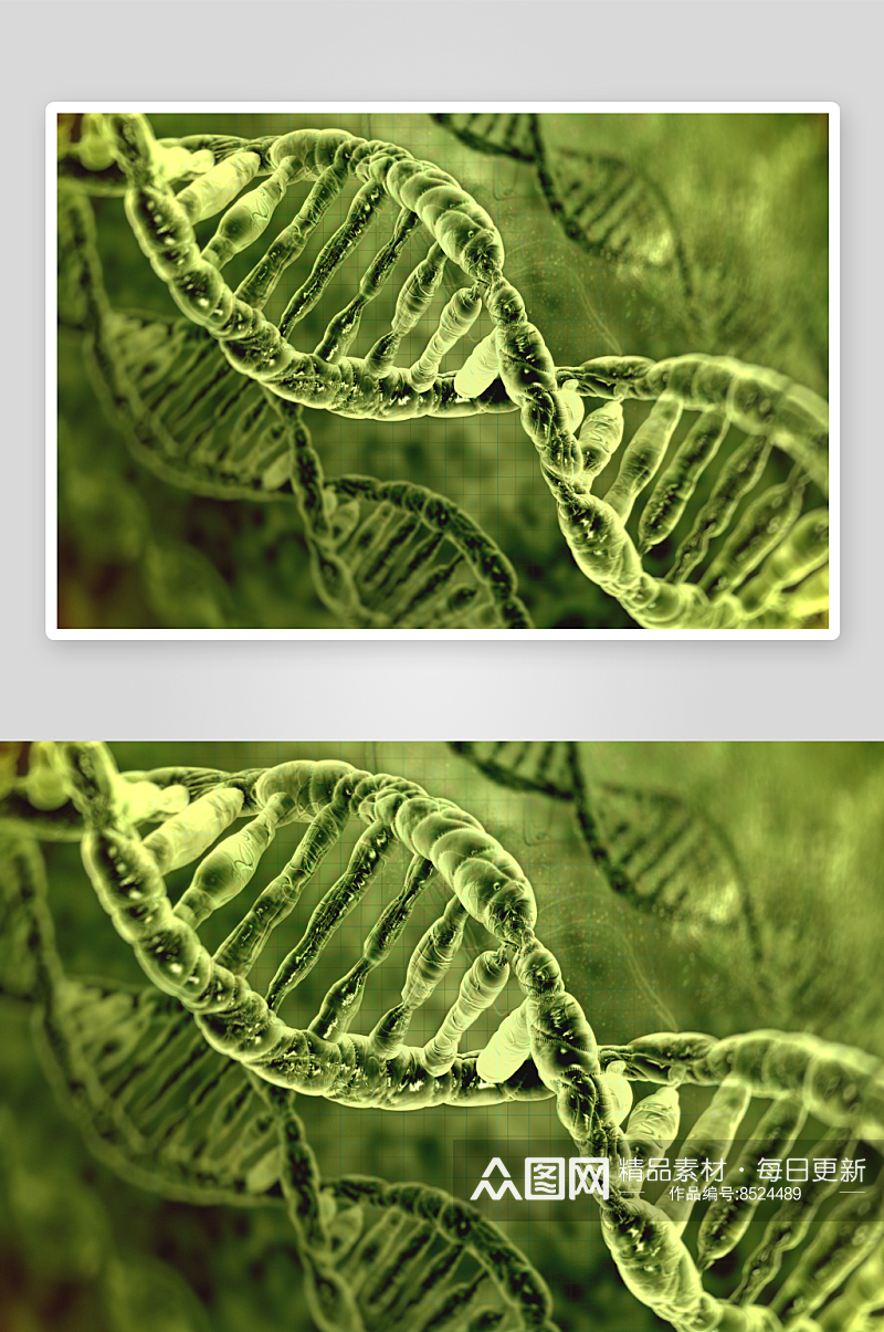 简约生物科技基因链摄影图素材