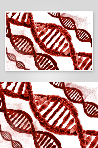 简约生物科技基因链摄影图