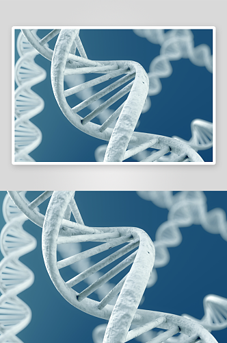 生物科技基因链摄影图