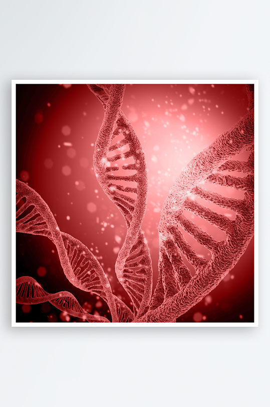 生物科技基因链摄影图