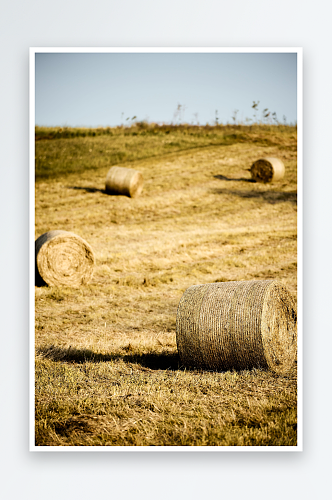农业生产风景摄影图