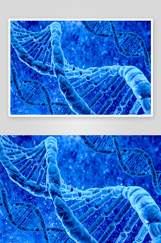 简约基因链摄影图