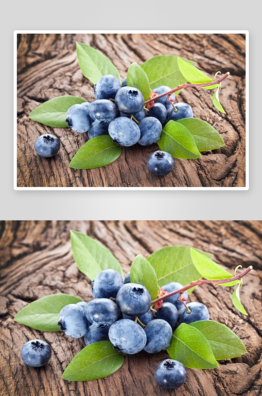 营养新鲜蓝莓水果摄影图