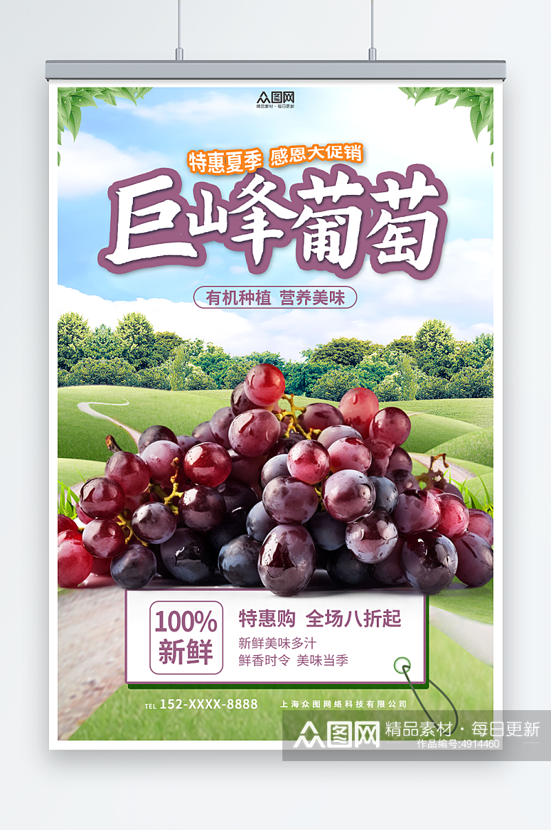 绿色清新葡萄青提水果宣传海报素材