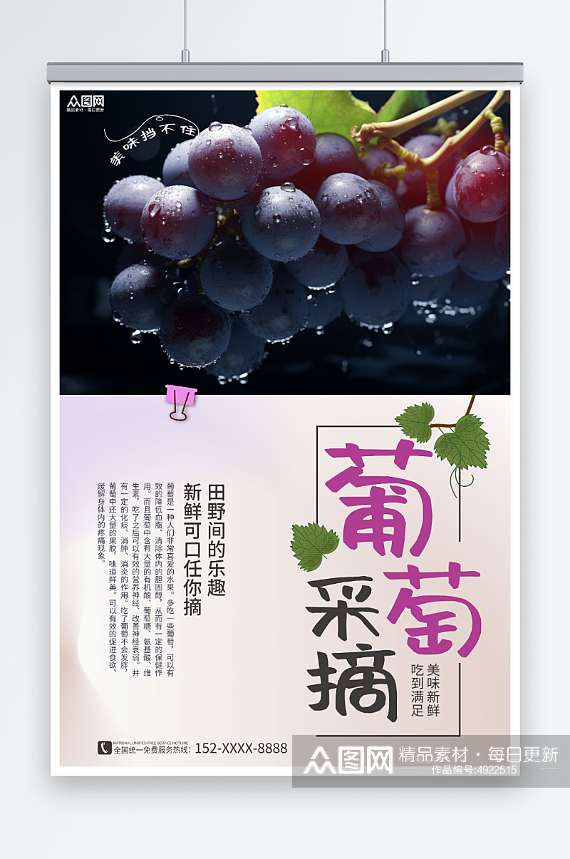 紫色简约葡萄提子果园采摘活动海报素材