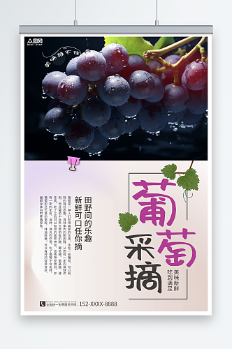 紫色简约葡萄提子果园采摘活动海报