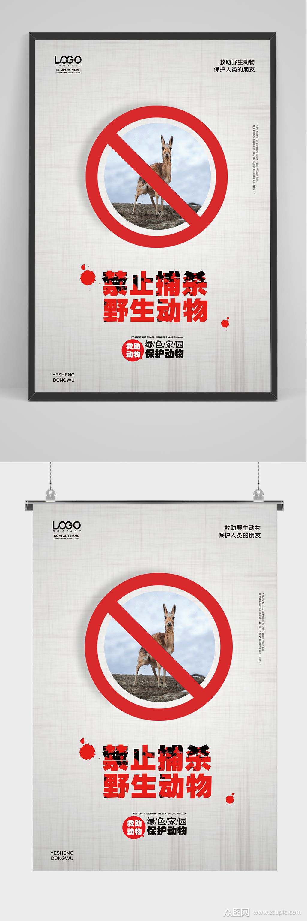禁止捕杀野生动物海报