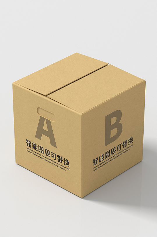 原创3d纸箱样机