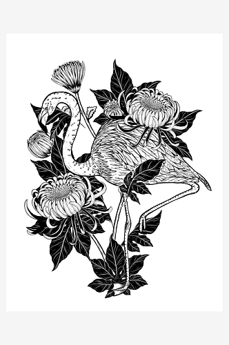 创意绘画黑白手绘丹顶鹤植物设计元素