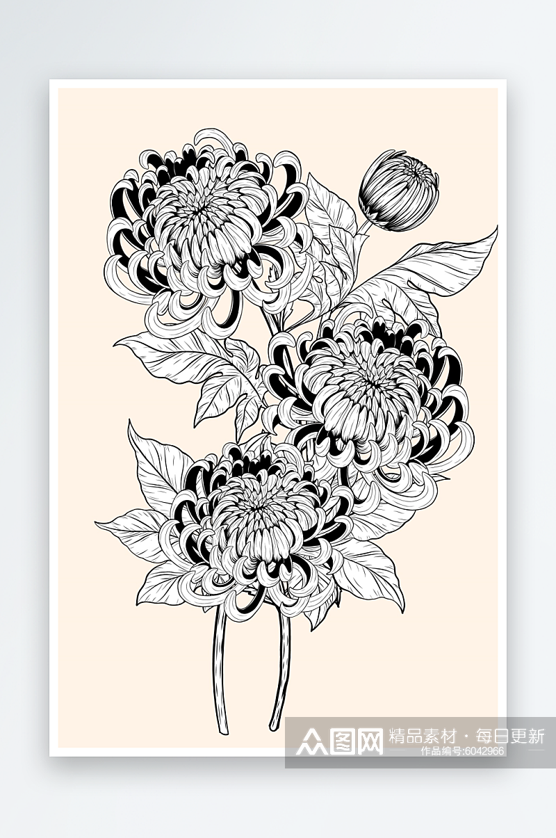 创意绘画黑白手绘菊花植物设计元素素材
