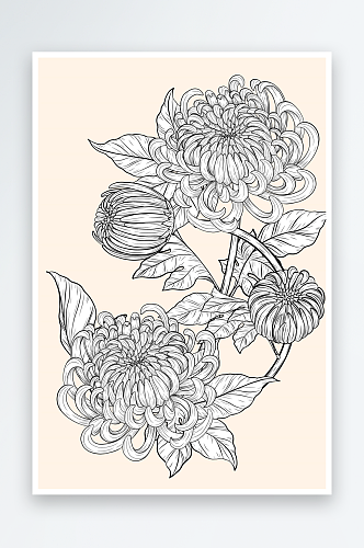 创意绘画黑白手绘菊花植物设计元素