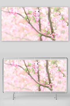 春季桃花风景摄影图
