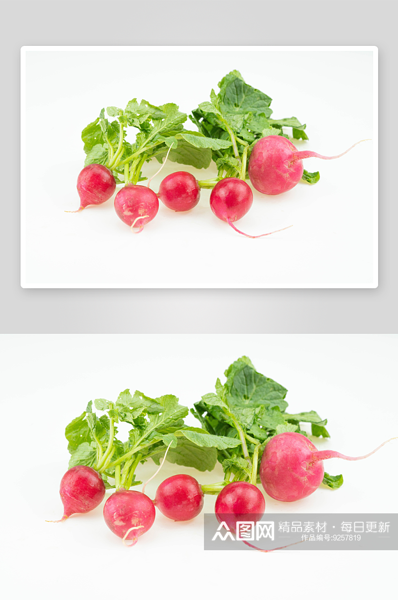 营养萝卜果蔬摄影图素材