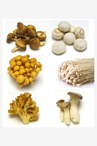 好吃美食蘑菇香菇摄影图片