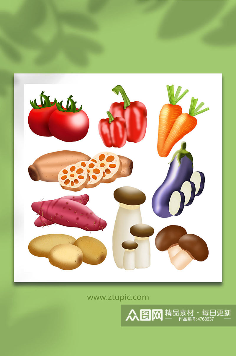 西红柿红椒胡萝卜写实风蔬菜元素插画素材