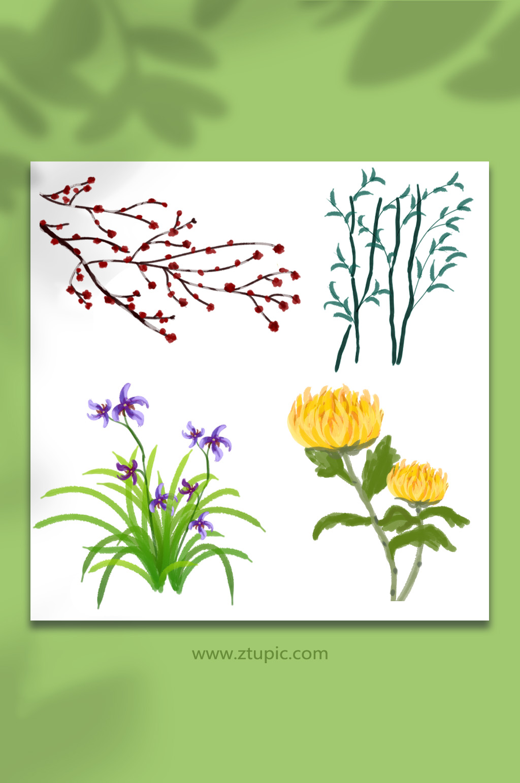 古风手绘梅兰竹菊植物元素插画插画素材