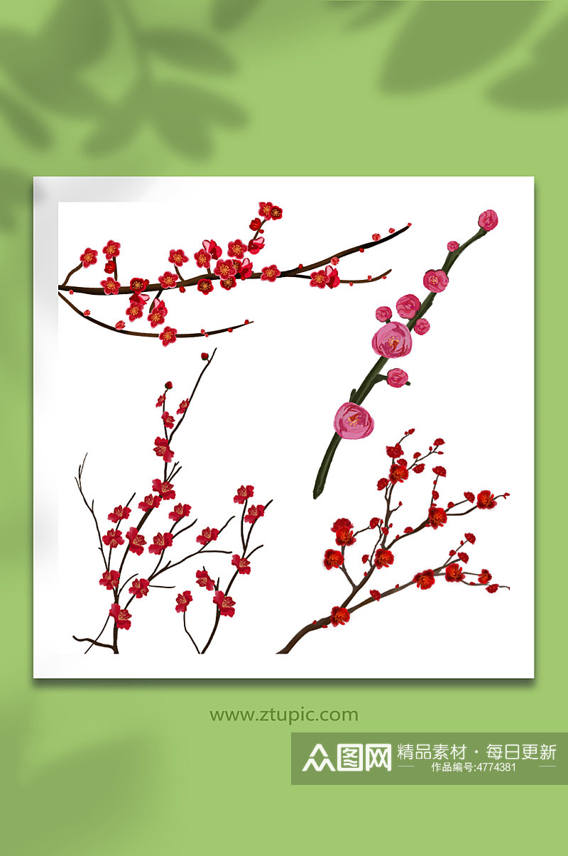 手绘冬季梅花花卉元素插画素材