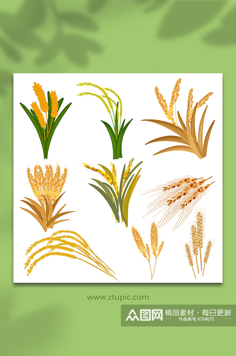手绘卡通农作物小麦稻谷元素插画素材