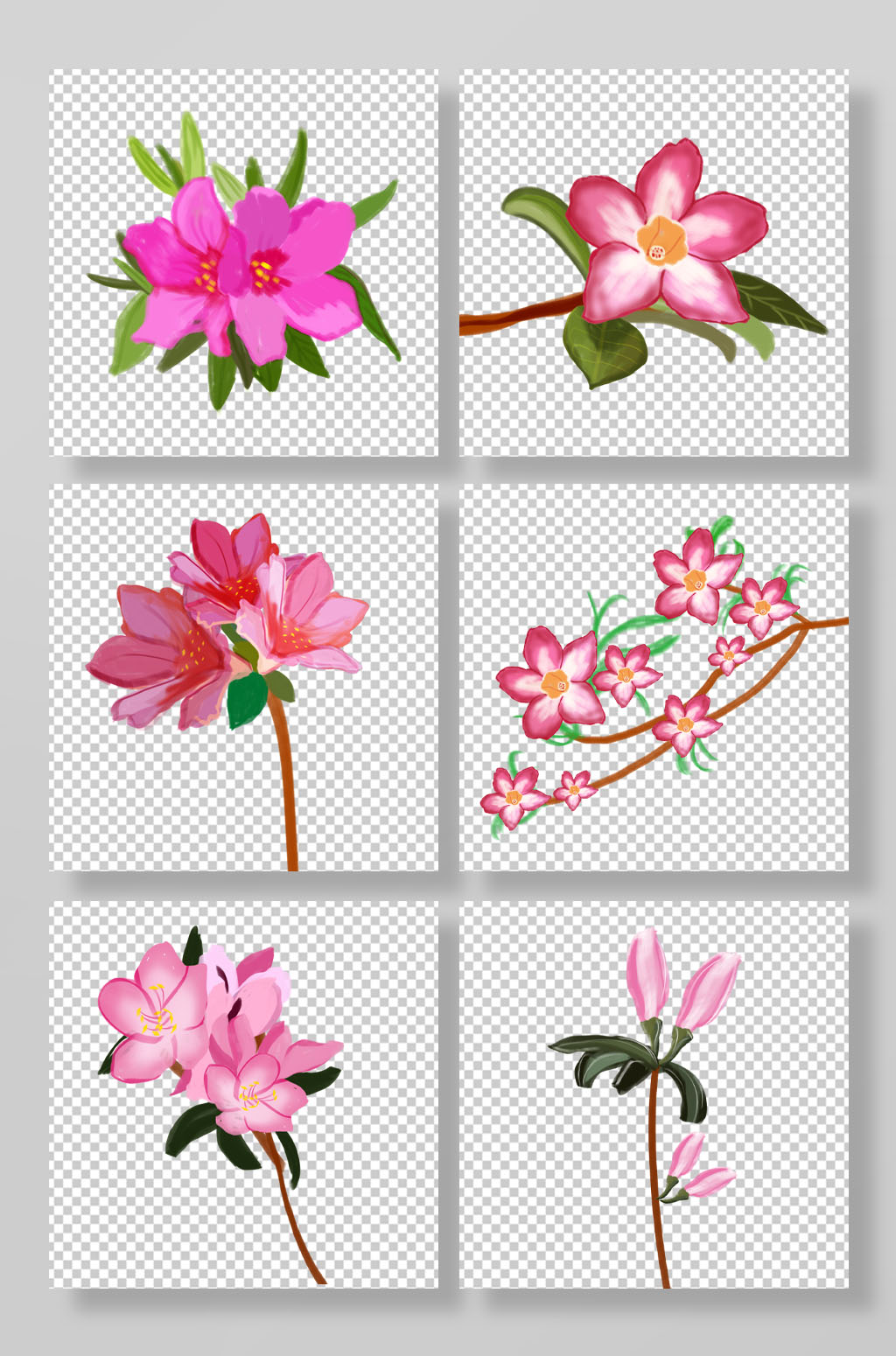 手绘杜鹃花手绘插画元素素材