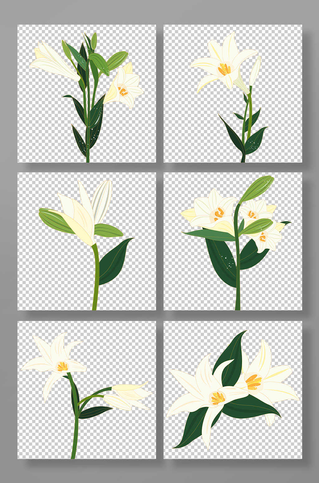 百合花手绘花卉插画元素素材