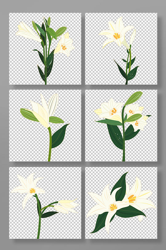 百合花手绘花卉插画元素-众图网