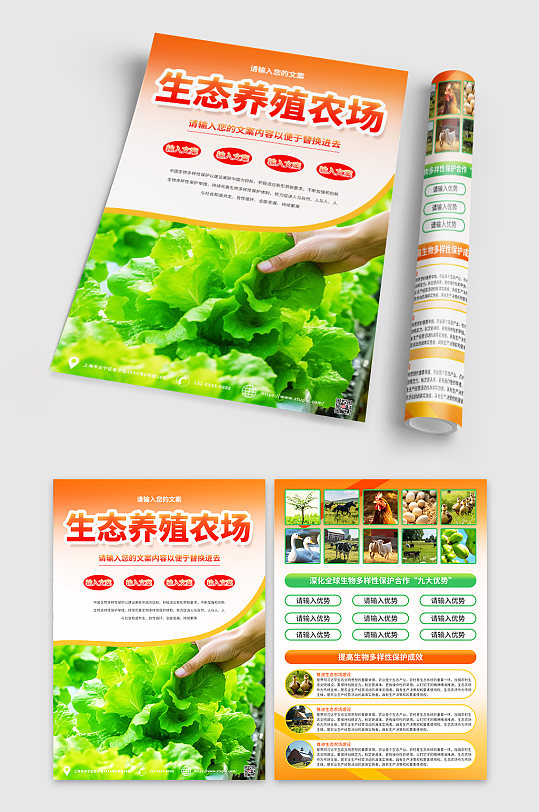 橙色生态养殖农场宣传单