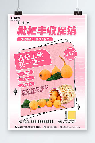 清新粉色新鲜枇杷夏季水果果园促销海报