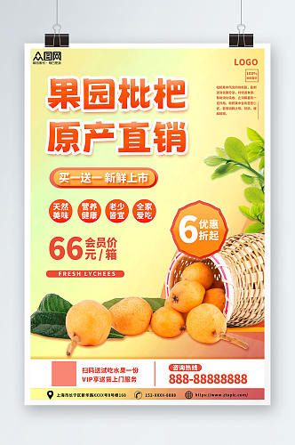 清新黄色新鲜枇杷夏季水果果园促销海报