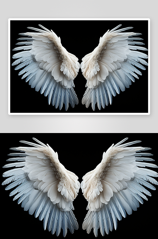 数字艺术美丽翅膀