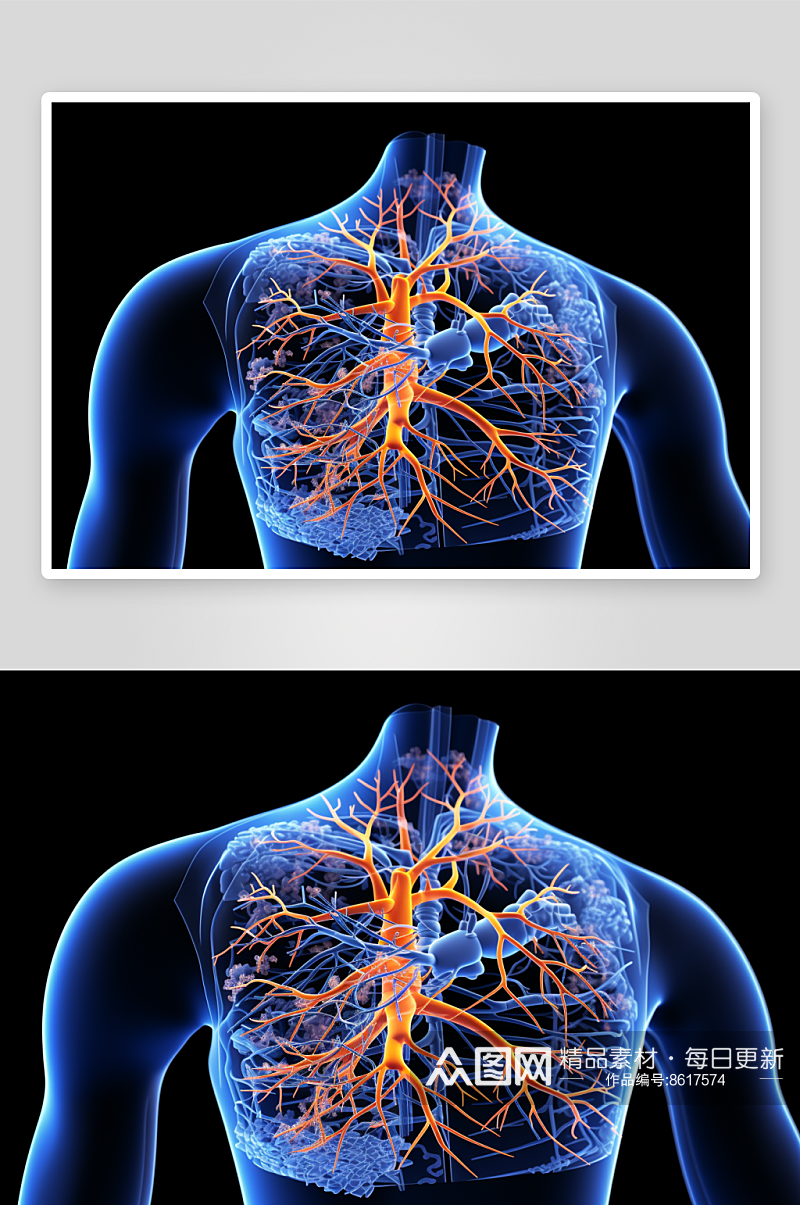 数字艺术人体解剖图图片素材