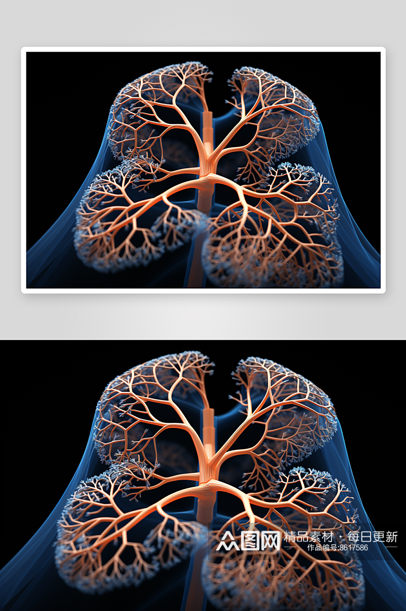 数字艺术人体解剖图图片素材