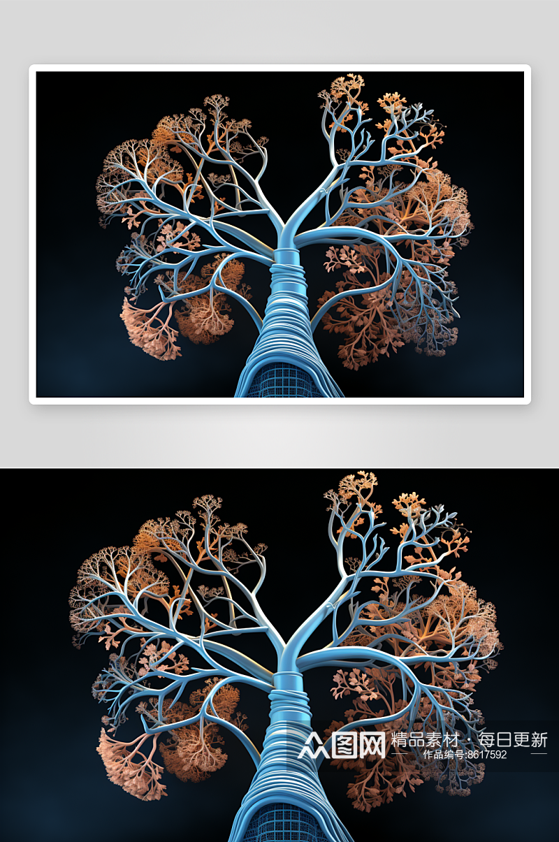 数字艺术人体解剖图素材