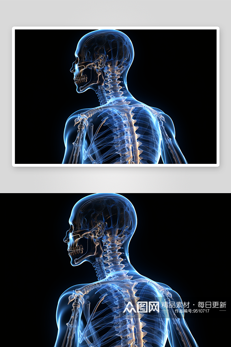 科技感人体透视背部显示素材