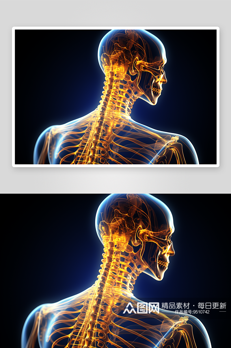 科技感人体透视背部显示素材