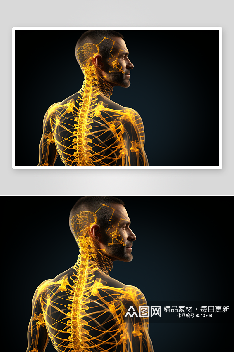 科技感人体透视背部显示素材