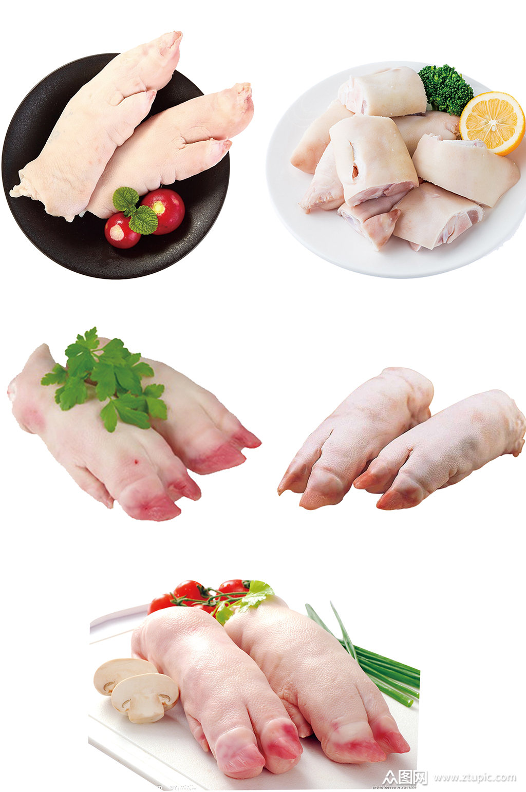 新鲜猪蹄免扣素材