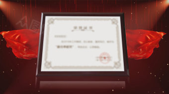 大气企业荣誉证书AE模板-众图网