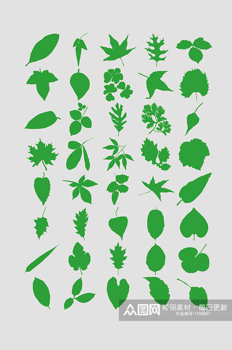 水量绿色植物树叶叶子素材