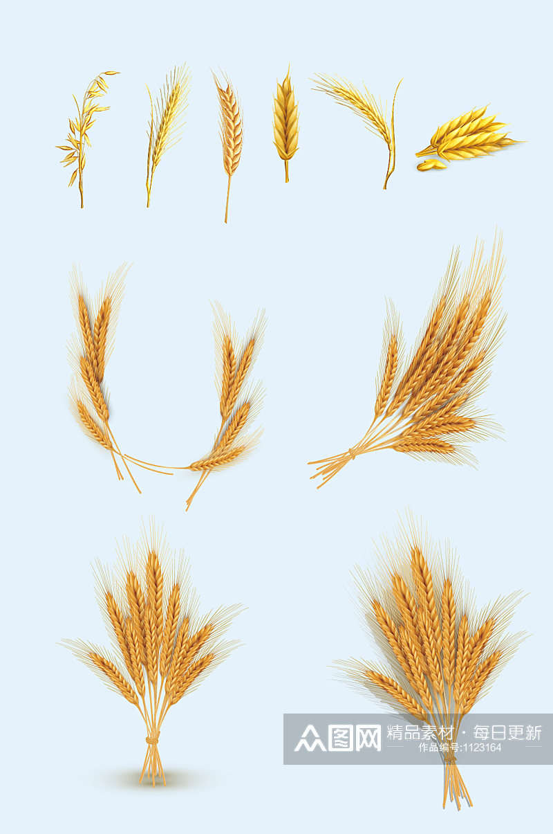 矢量麦子麦穗小麦元素素材