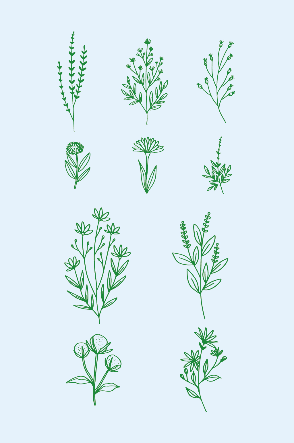 ai矢量花草小草