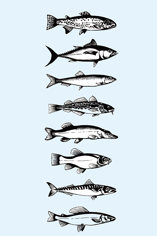 矢量手绘海鲜鱼海鱼