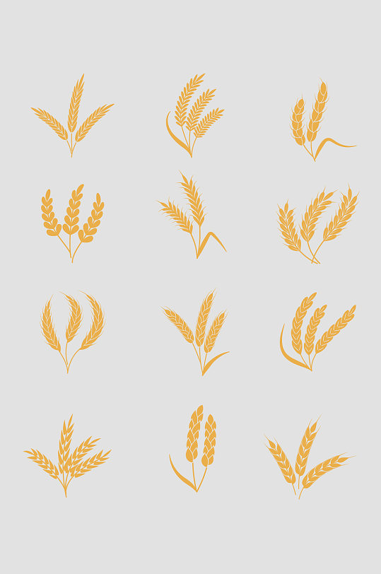 ai矢量麦子麦穗元素