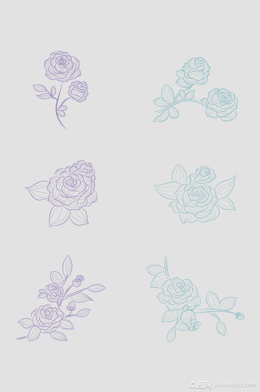 矢量线条玫瑰花元素