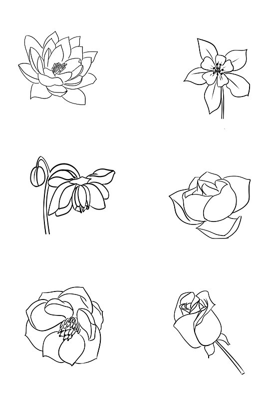 手绘线条玫瑰花花朵免扣元素