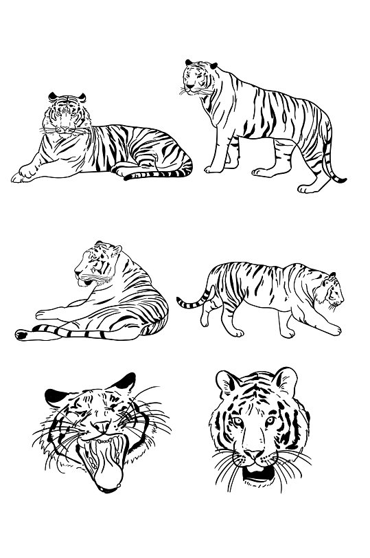 简约手绘老虎剪纸简笔画图片大全大图